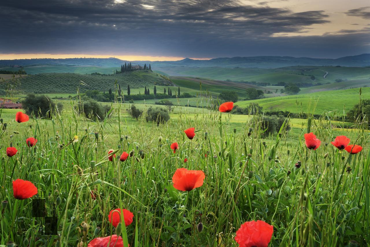 La Bellavita B&B Pienza Zewnętrze zdjęcie