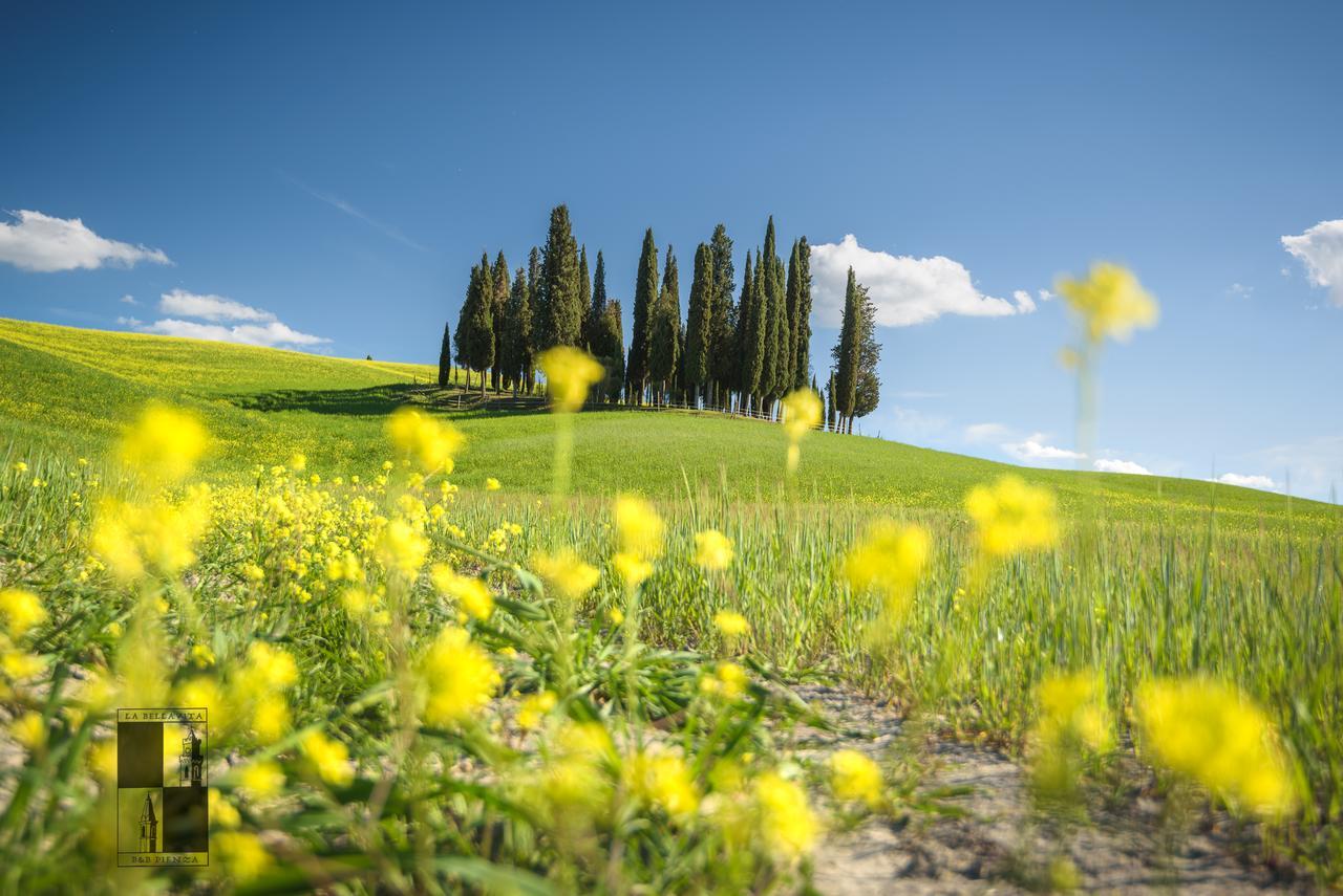 La Bellavita B&B Pienza Zewnętrze zdjęcie